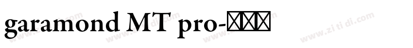 garamond MT pro字体转换